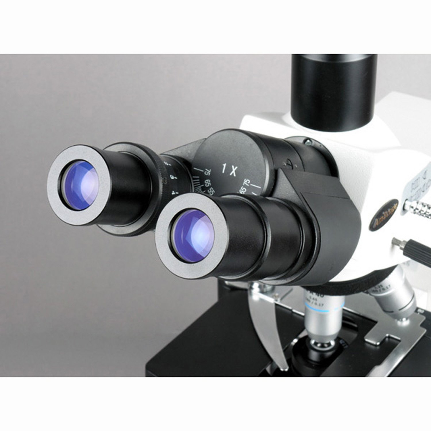 Amazon.com: AmScope T690B Trinocular Compound Microscope, 40X